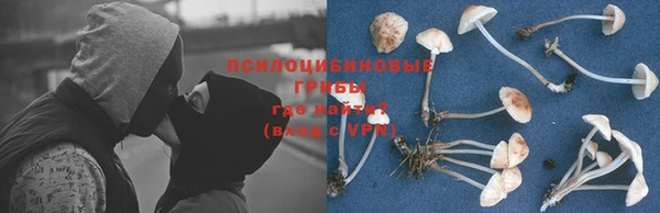эйфоретик Белоозёрский