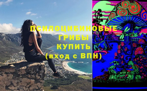 МДПВ Белокуриха